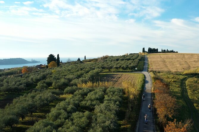 Half Day Vespa Countryside Tour and Tastings in Istria - Back in Piran with a local wine toast