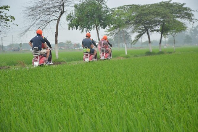 Hanoi Food Tours: Hanoi Foodie Scooter Tour Led By Women - Starting near the Opera House and French Quarter