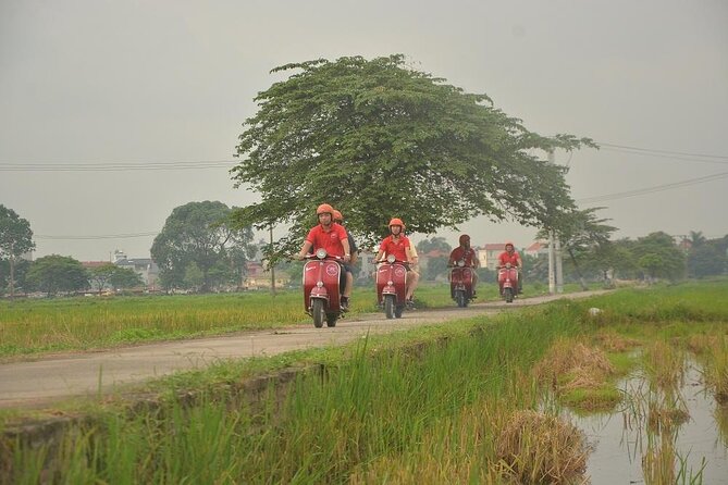 Hanoi Food Tours: Hanoi Foodie Scooter Tour Led By Women - Group size, comfort, and the pace of the ride