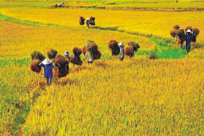 Hanoi Vespa Countryside Tour With Female Ao Dai Riders Half Day - What the guides add to the ride