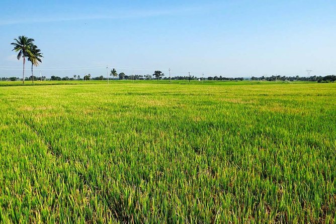 Hanoi Vespa Countryside Tour With Female Ao Dai Riders Half Day - Safety, comfort, and the traffic question
