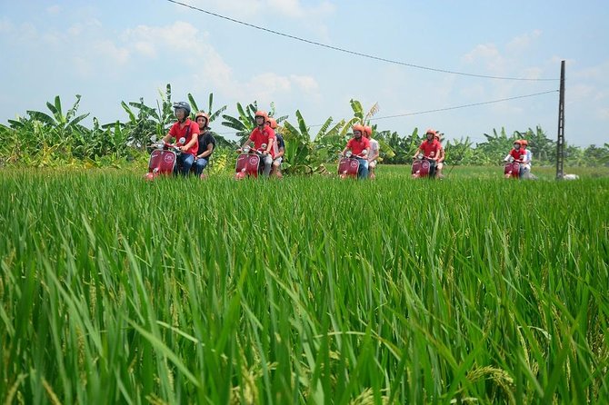 Hanoi Vespa Tours: Hanoi Vintage Vespa Tours Countryside - Lại Đà, Tea, and a 200-Year-Old Family Home