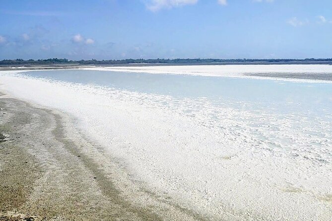 Happy tour camargue an immersion by bike and scooter E - Is $81.70 a fair price?