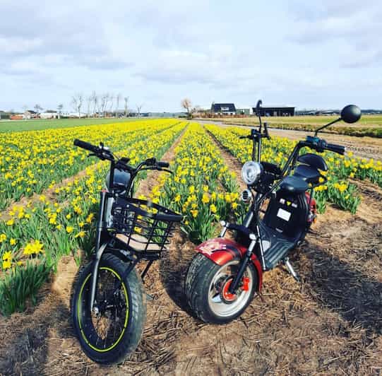 Hillegom: E-Scooter or E-Bike Rental in the Bulb Region - Key points to know before you book