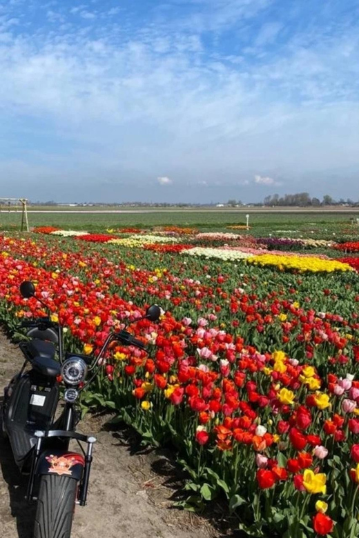 Hillegom: E-Scooter or E-Bike Rental in the Bulb Region - Picking the right scooter or e-bike