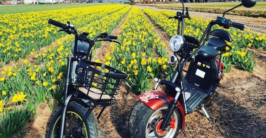 Hillegom: E-Scooter or E-Bike Rental in the Bulb Region - Riding through the Dutch bulb region