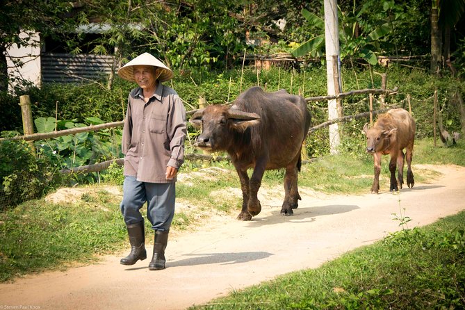 HOI AN Countryside - River Islands - Old Crafts - Local Culture - Coffee in Duy Hai, with time to reset