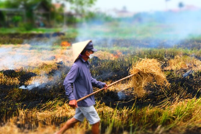 Hoi An Countryside Vespa Tour: Food, Culture & Daily Life - Who Will Enjoy This Vespa Tour Most?