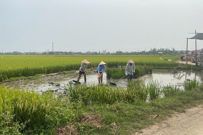 Hoi An Countryside Vespa Tour: Food, Culture & Daily Life - Should You Book the Hoi An Countryside Vespa Tour?