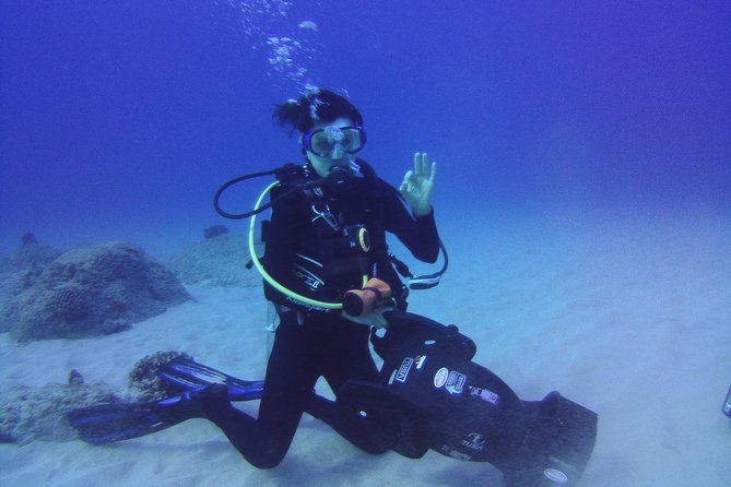 Kauai's Ultimate Scooter Adventure 2 Tank Dive (Advance Certified Divers Only) - Sea turtles, octopus, and warm water