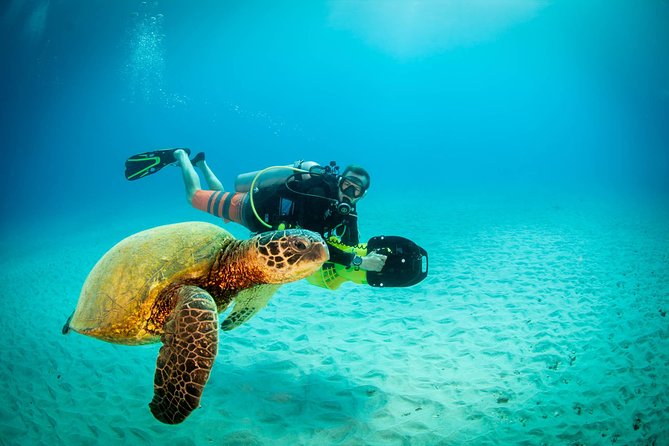 Kauai's Ultimate Scooter Adventure 2 Tank Dive (Advance Certified Divers Only) - Two tanks, with reef time at useful depths
