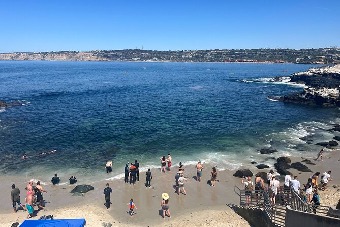 La Jolla E-Scooter Tour with Photos Included - The return through La Jolla and Bird Rock
