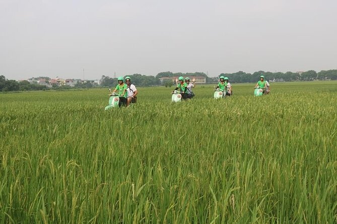 Ninh Binh Vespa Start from Hanoi + Boat + Villages +Rice Paddies - Climbing 500 steps at Mua Cave