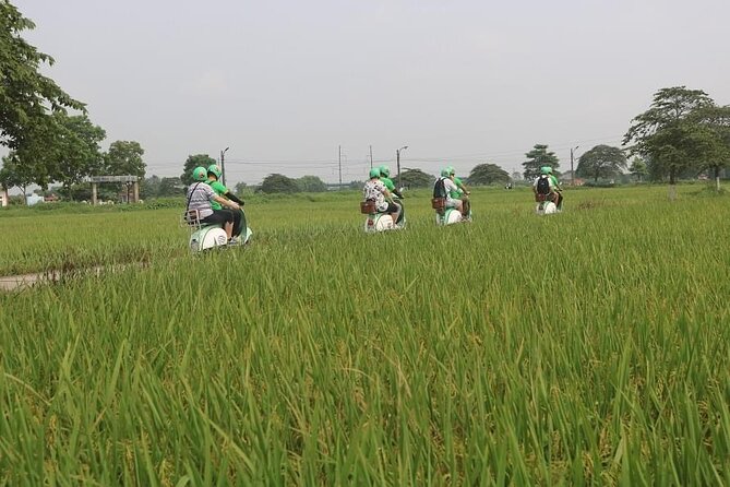 Ninh Binh Vespa Start from Hanoi + Boat + Villages +Rice Paddies - Is $109 good value?