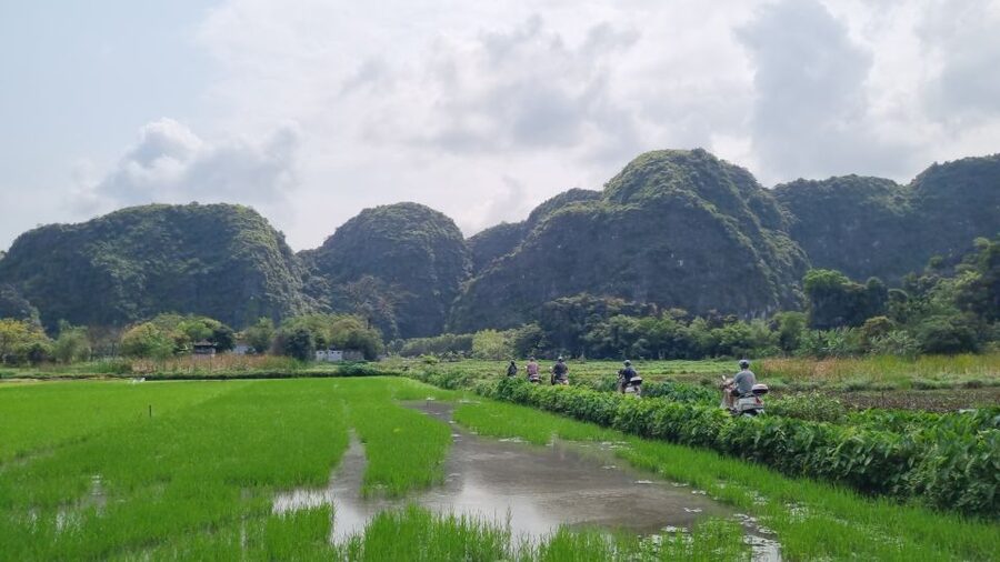 Ninh Binh Vespa Tours from Hanoi: Vespa + Boat + Daily Life - Mua Cave and the Great Wall of Mua
