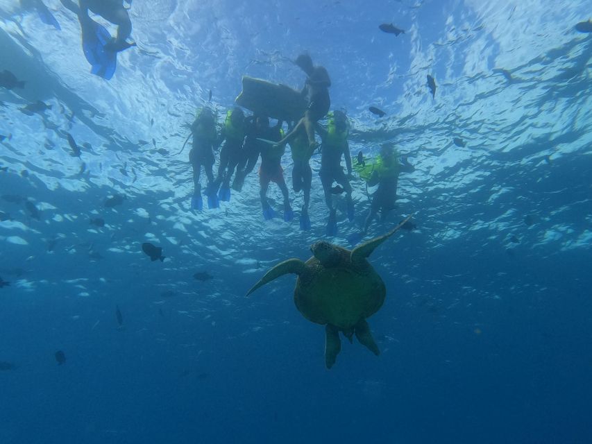 Oahu Snorkeling with Turtles, Water Scooter, Paddleboard - Key points before you book