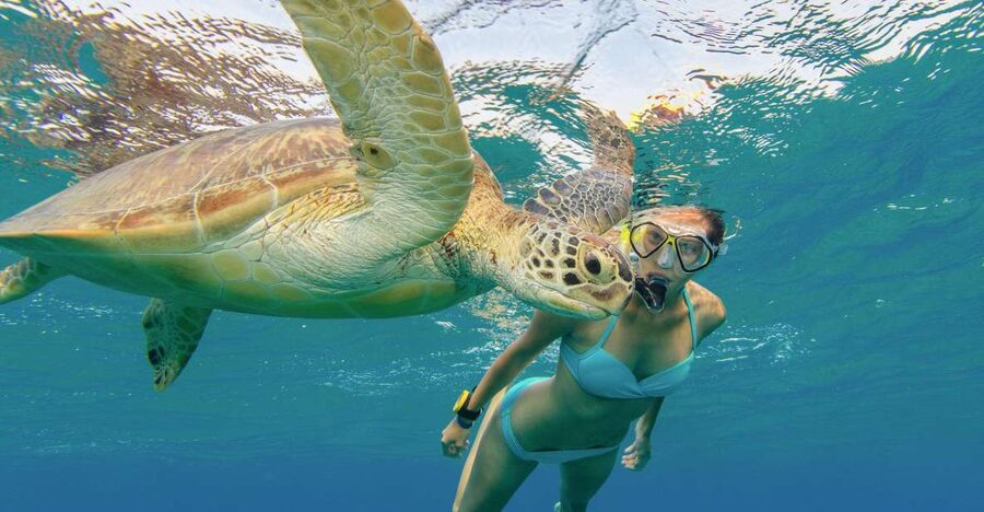 Oahu Snorkeling with Turtles, Water Scooter, Paddleboard - Paddleboarding on open water