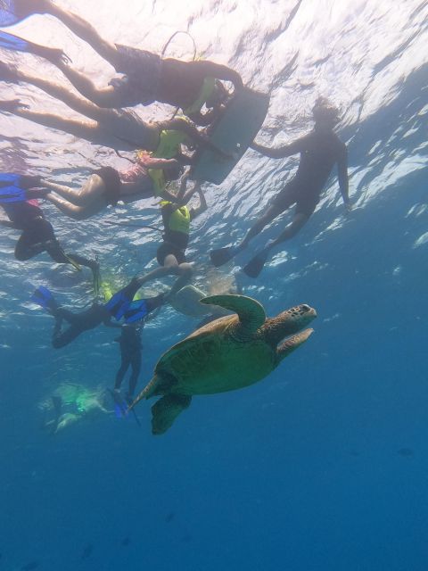Oahu Snorkeling with Turtles, Water Scooter, Paddleboard - Musubi, noodles, and warm snacks