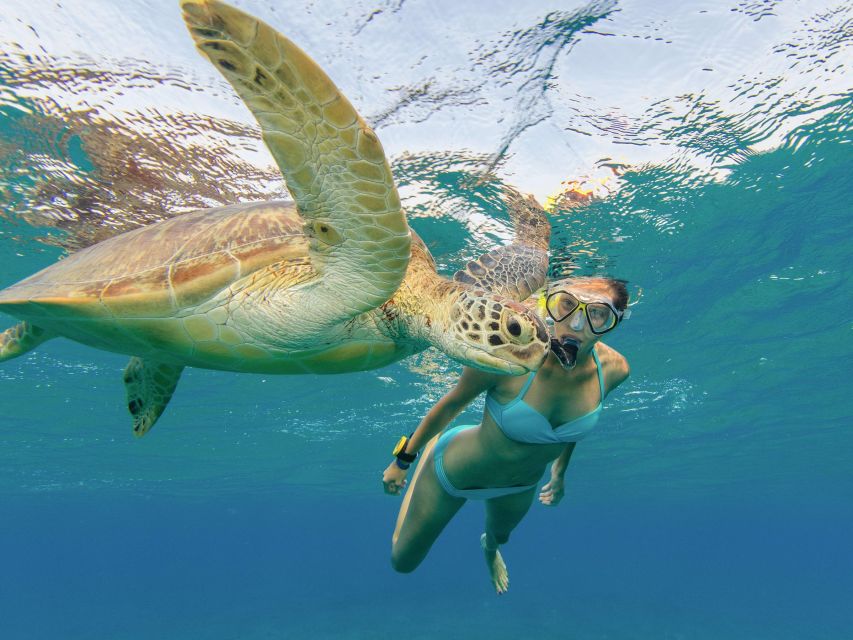 Oahu Snorkeling with Turtles, Water Scooter, Paddleboard - Guides, languages, and personal service