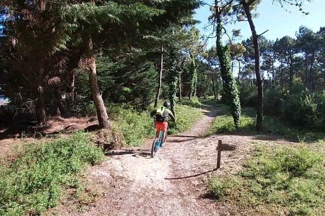 Off-road electric scooter-2h30 guided by GPS- "Carnac" - What is included for $65.28?