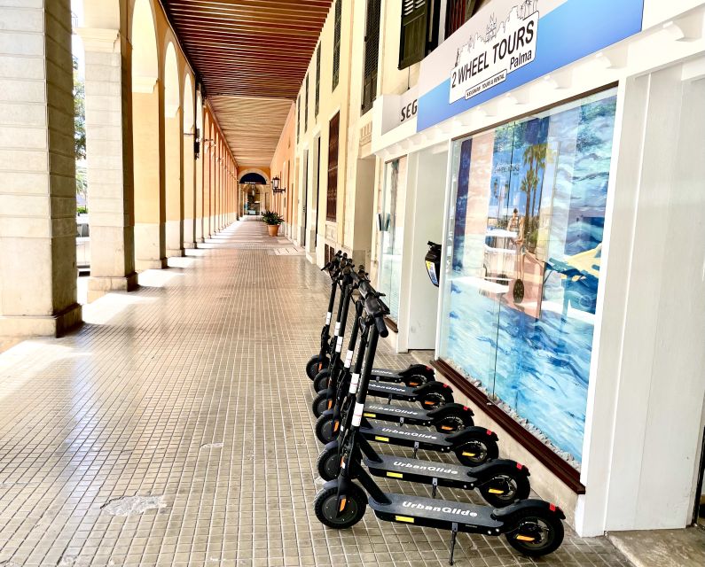 Palma: Guided 1.5 H city tour on Electric scooter - Who Should Book This Ride?