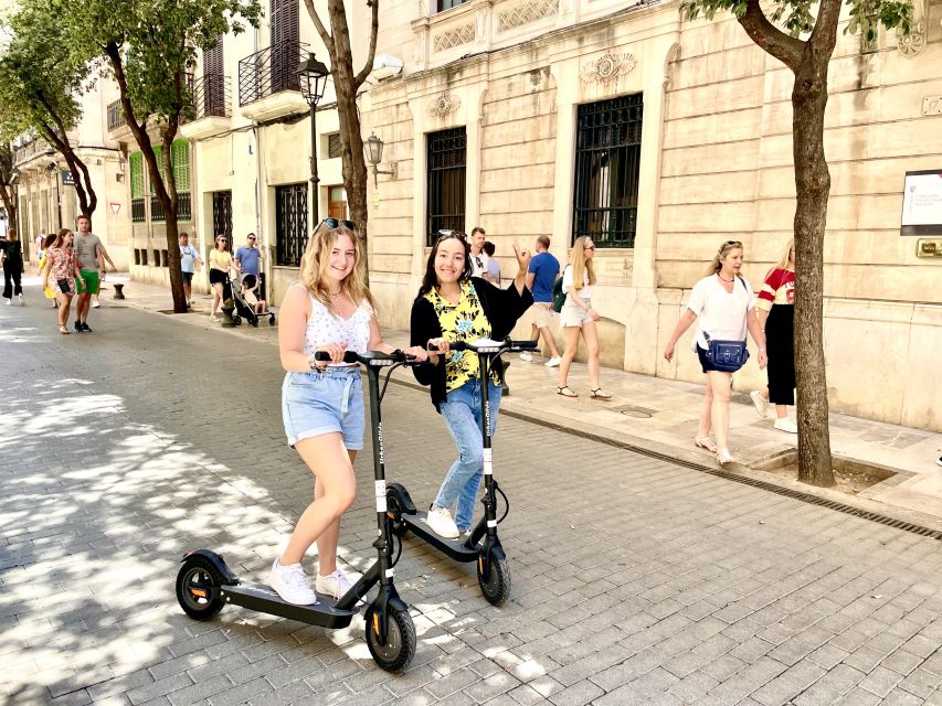 Palma: Guided 1.5 H city tour on Electric scooter - Parc de la Mar and the Cathedral View