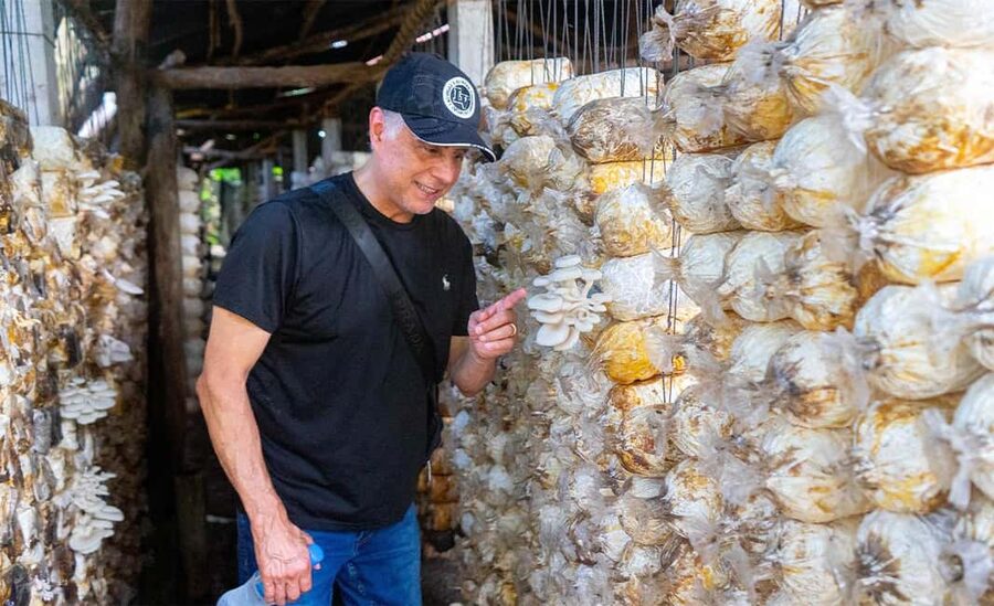 Phnom Penh Evening Food Tour -On Promotion Price limit Offer - Russian Market offers another food window