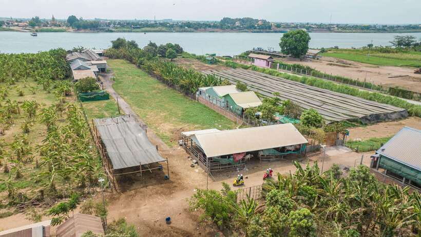 Phnom Penh: Silk Island Tour by Vespa with Tuk Tuk Available - The best parts of this Silk Island morning