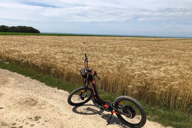 "Pleasure" ride on an all-terrain electric scooter - What the guide adds to the ride