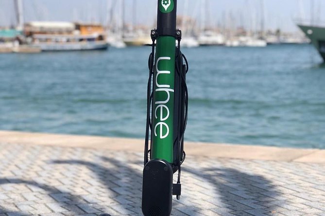 Premium electric Scooter rental with optional delivery - Who will enjoy this most