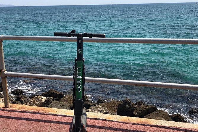 Premium electric Scooter rental with optional delivery - Using the WHEE app during your rental