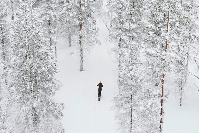 Private Driving Snow Scooters Experience in Finland - Learning the eLyly in a few careful minutes