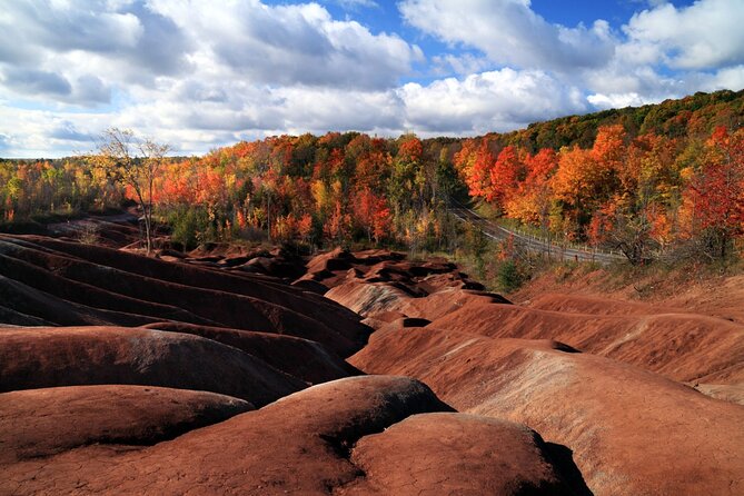 Private Greater Toronto DriveSpa Tour with Lunch - Why this Toronto day trip feels different