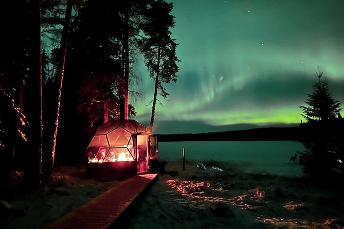 Private Northern Lights Expedition by Lapland's Experienced Team - What the three-hour evening is really like