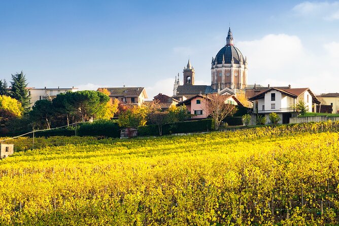Private Vespa Tour "Among the hills of Barolo and Barbaresco" - Key points before you book