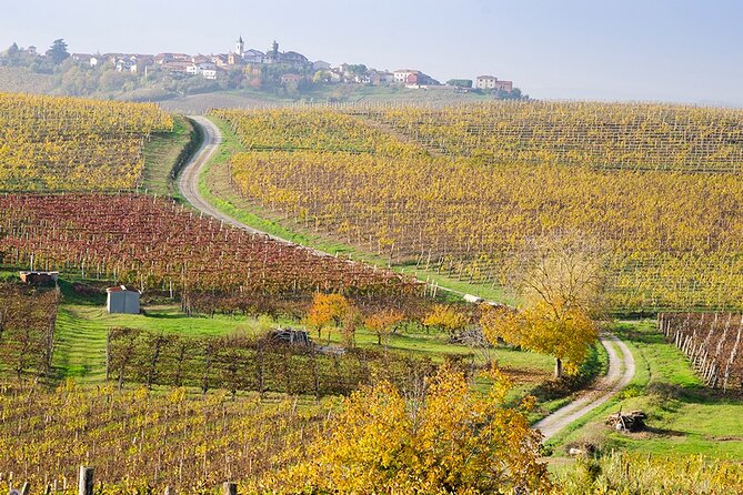 Private Vespa Tour "Among the hills of Barolo and Barbaresco" - Diano d’Alba and the final 360-degree view