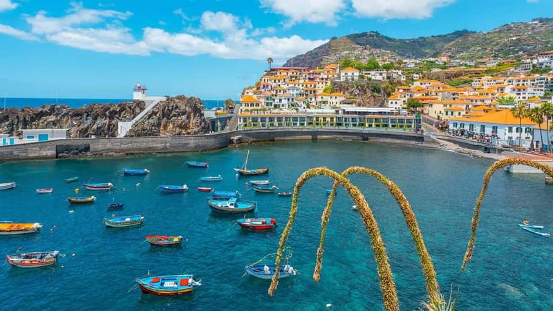 Private Vespa Tour Funchal & Câmara Lobos (3hrs) - The quick facts that matter most