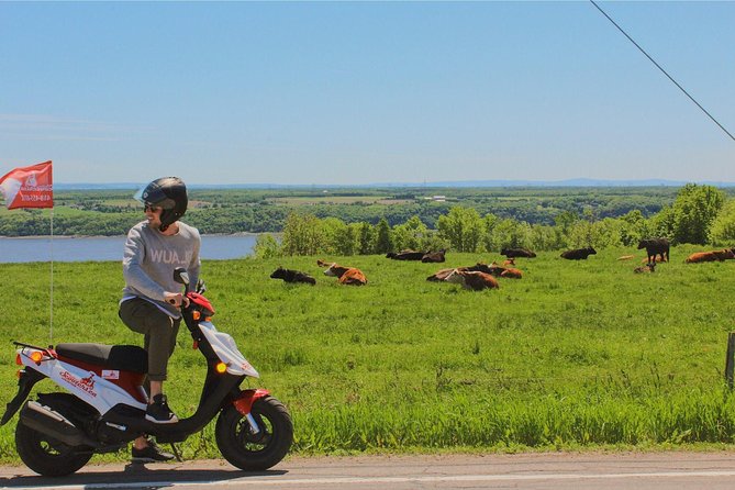 Quebec City - Scooter Rental on Ile d'Orléans - Reaching the St. Lawrence River