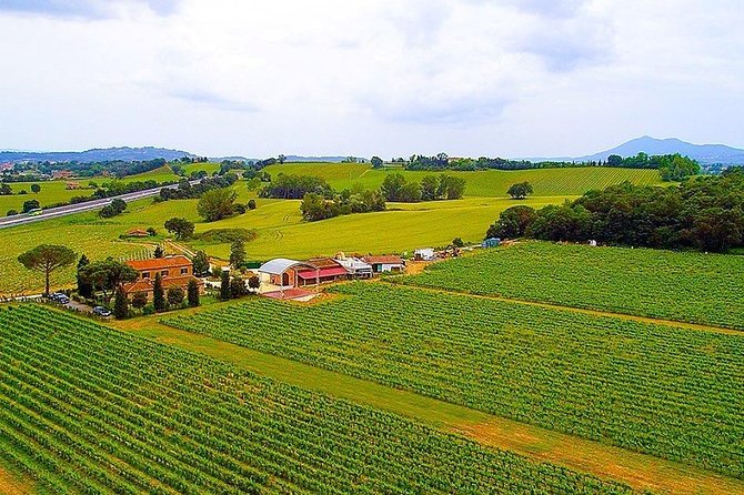 Romantic Vespa Tour and Wine Tasting - Why a Vespa changes the Tuscan day