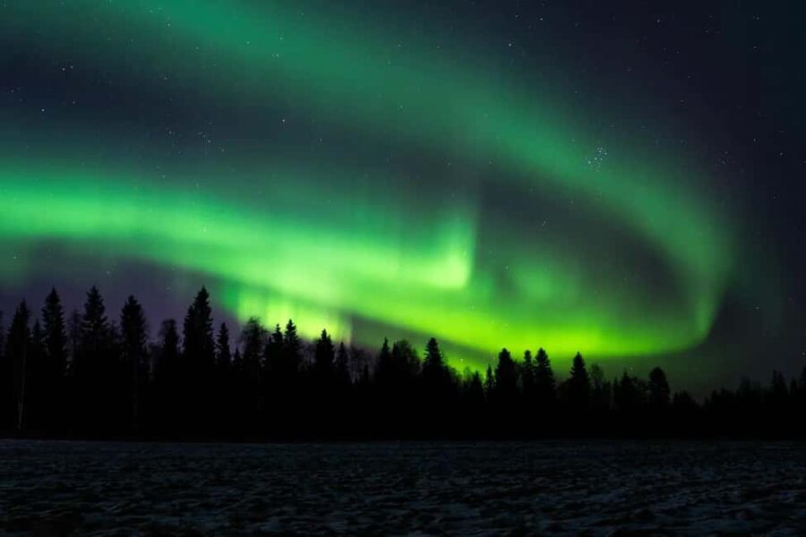 Rovaniemi: Northern Lights Electric Snow-Scooter Tour - Riding the Electric Reindeer through the forest