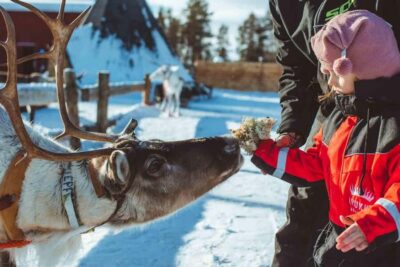 Snow Tour with Huskies, Reindeer, & Mini Scooters