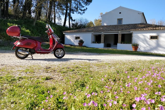 Savour The Flavors Of Corfu Vespa Scooter Tour - The License and Riding Rules Matter