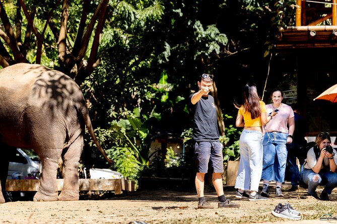 Scooter Adventure with elephants, views and FUN drive yourself - Starting the day with pickup and a small group