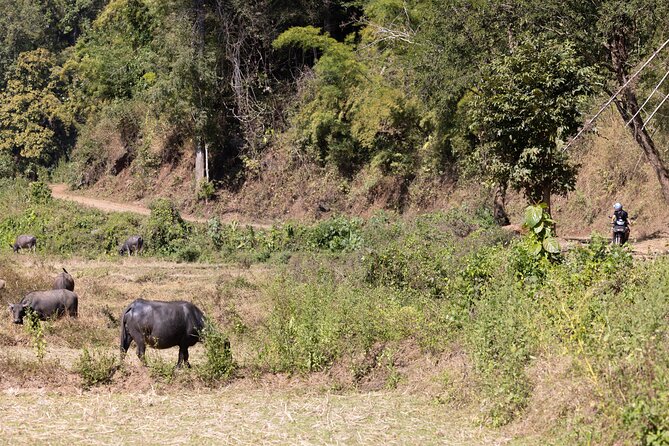 Scooter Adventure with elephants, views and FUN drive yourself - Viewpoints, caves, a waterfall, and a temple