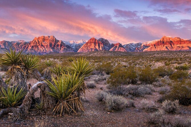 Scooter Car Tour of Red Rock Canyon with Transport from Las Vegas - Key Details Before You Book