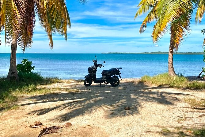 Scooter Rental San Juan Puerto Rico - A longer meal at Contra Viento y Marea