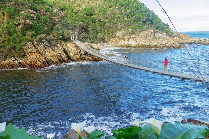 Scooter Tours through Tsitsikamma National Park - Key points to know before you book