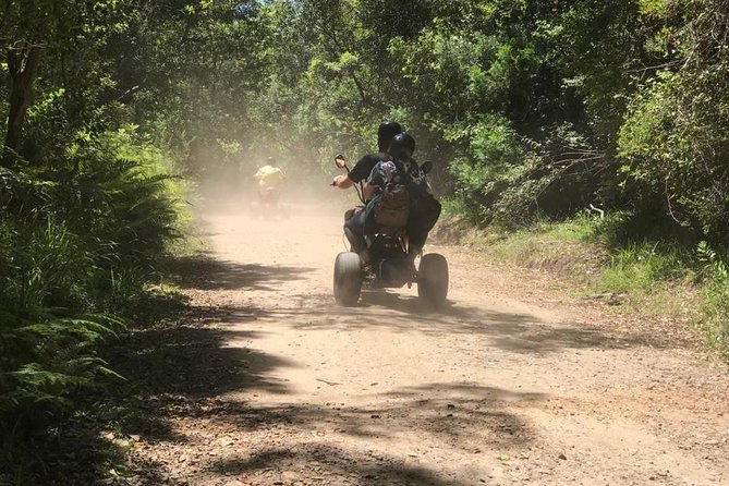 Scooter Tours through Tsitsikamma National Park - Who will enjoy this most