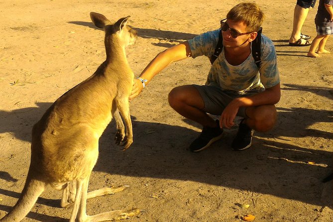 Scooter Wildlife & Sunset Tour - Looking for Kangaroos and Birds