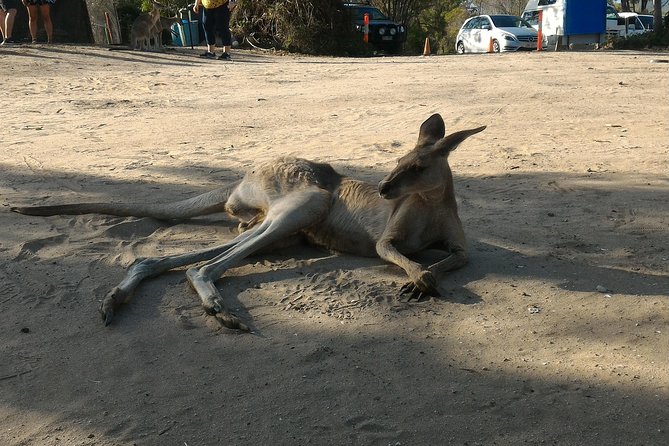 Scooter Wildlife & Sunset Tour - Beaches, Local Stories, and Sunset Light